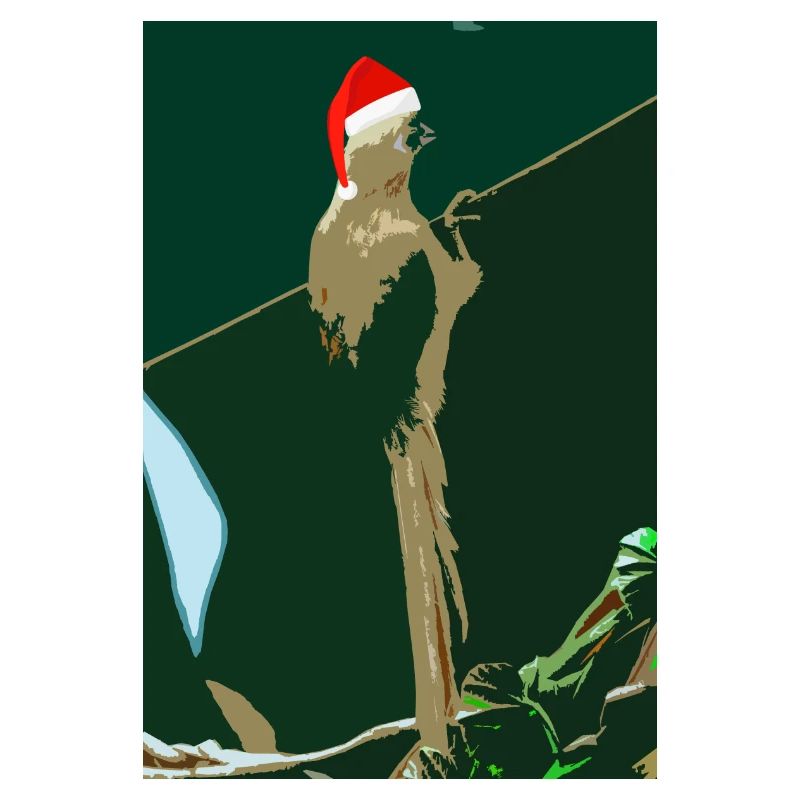 Weihnachten Colious
