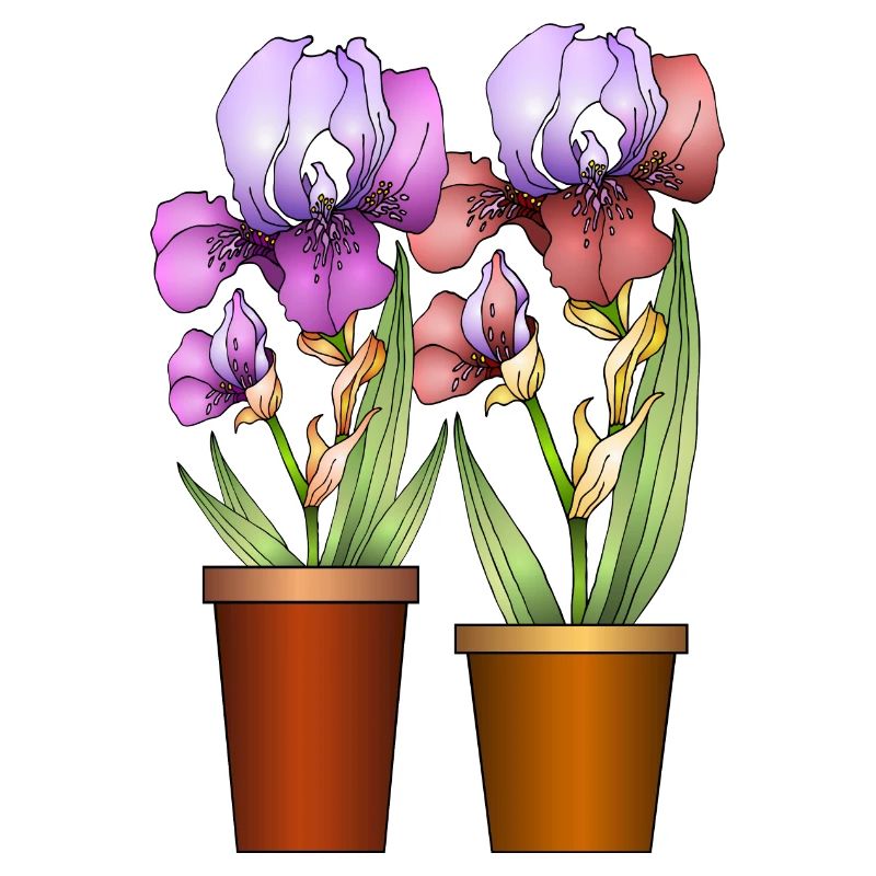 Blumen