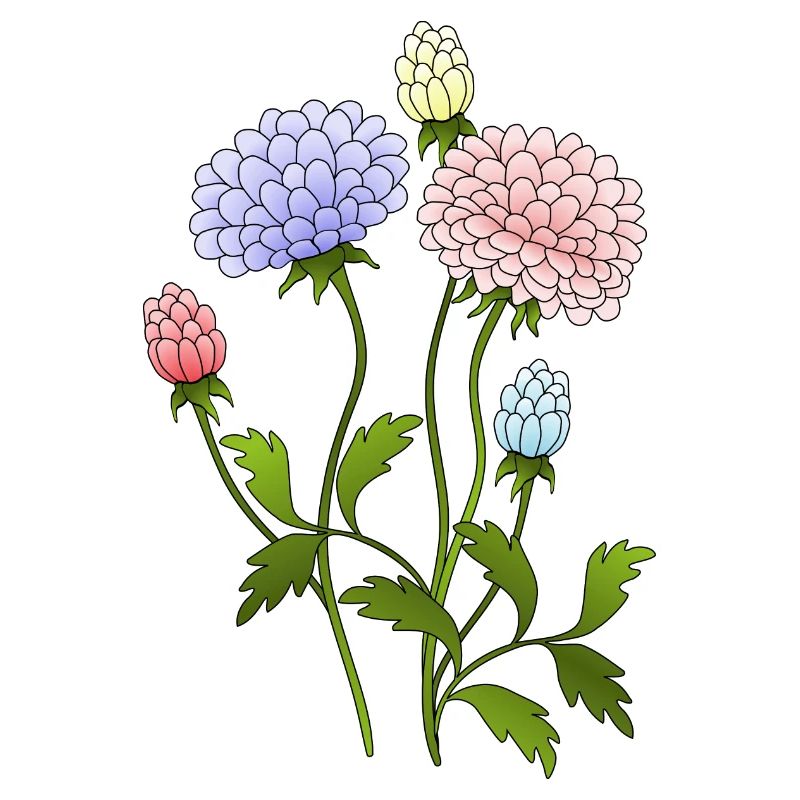 Blumen