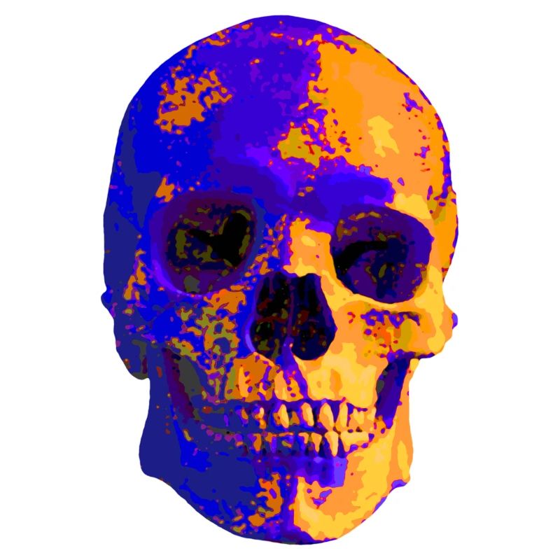 Bunter Skull