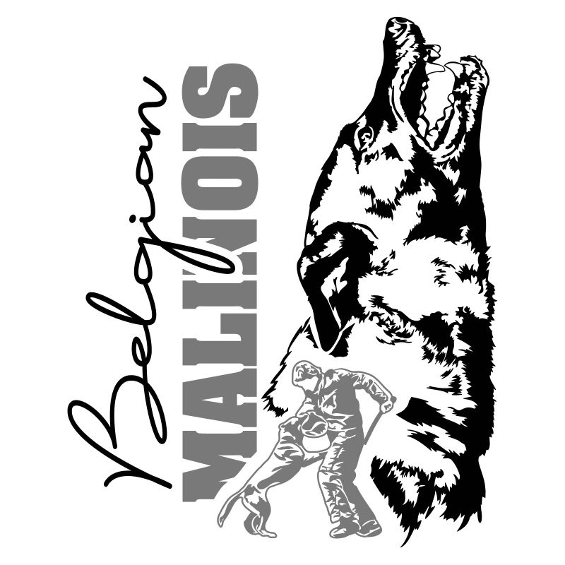 BELGIAN MALINOIS barking Wilsign's protection service