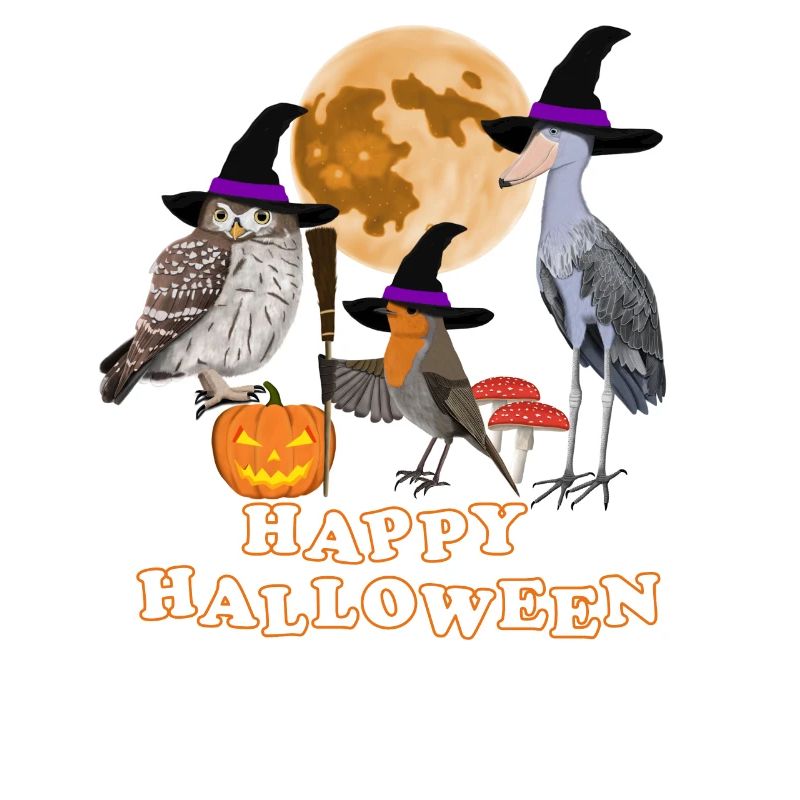 Robin Halloween Citrouille Lune Oiseau Biologiste