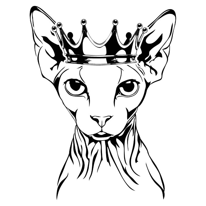 SPHYNX Chat Couronne Chats Pedigree Chat Wilsigns