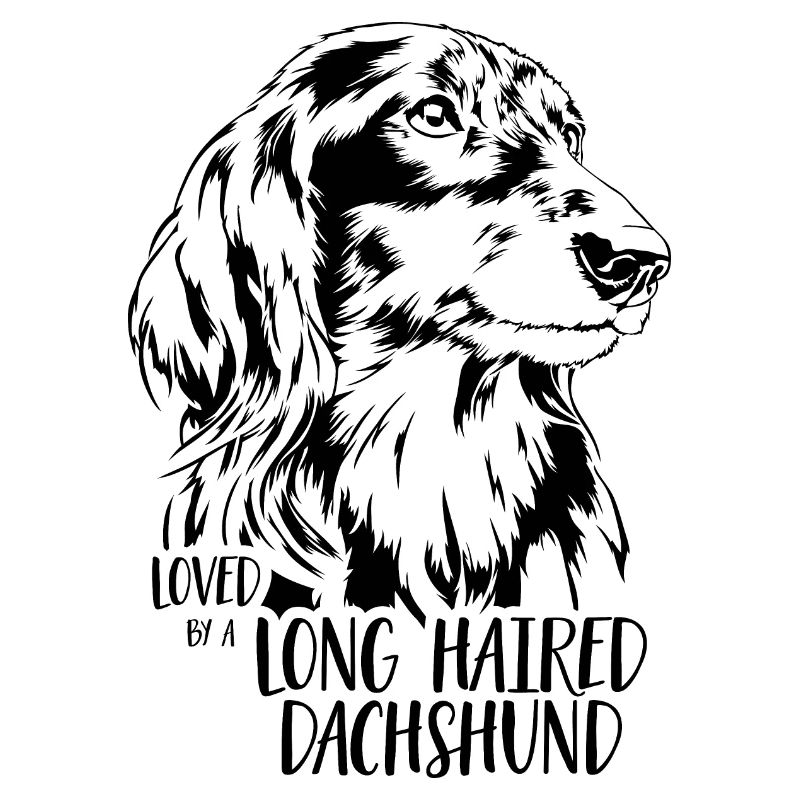 Loved by a Long Haired Dachshund Hundespruch Hunde