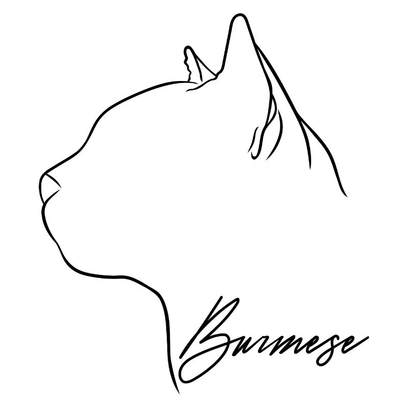 Burmese Profile Cats Cat Wilsigns