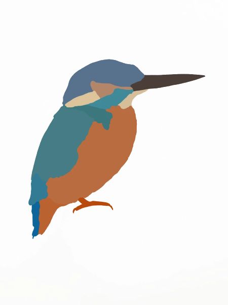 kingfisher