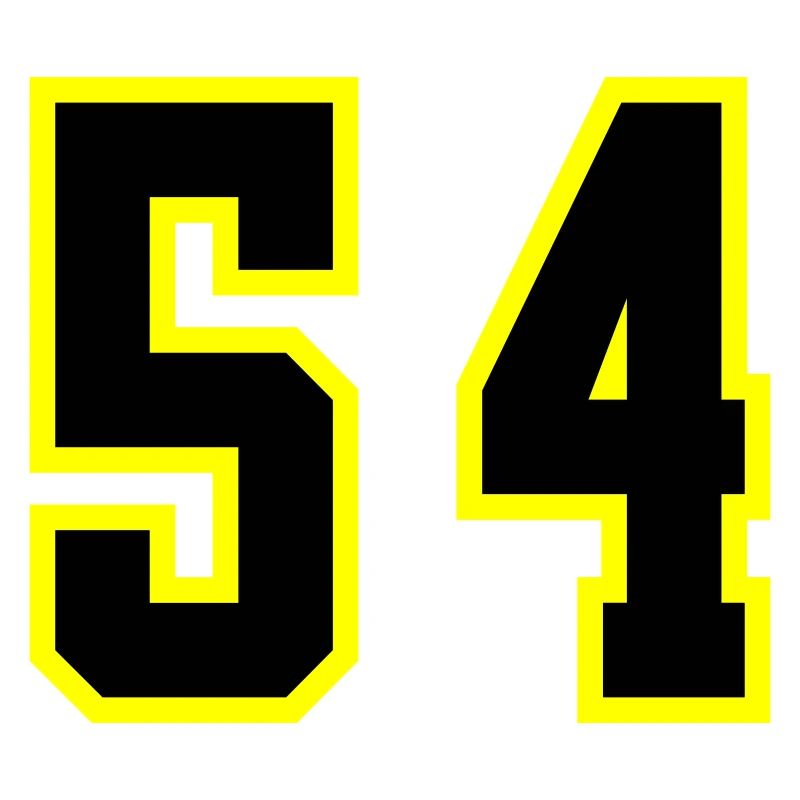 54 Number Leotard