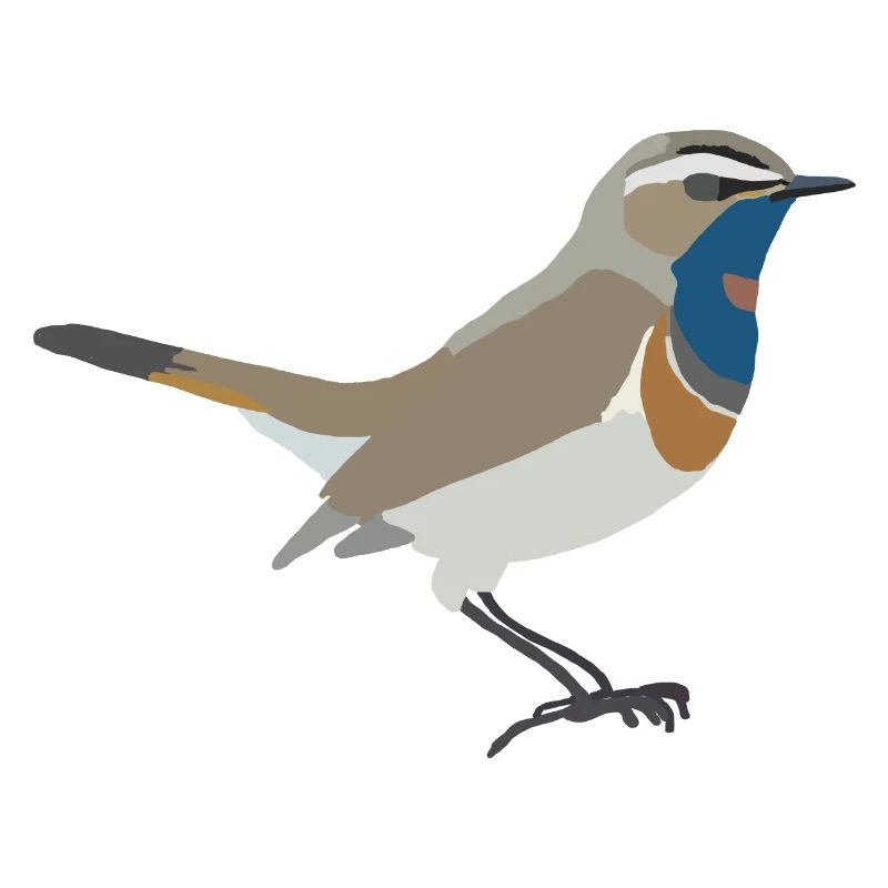 Blaukehlchen
