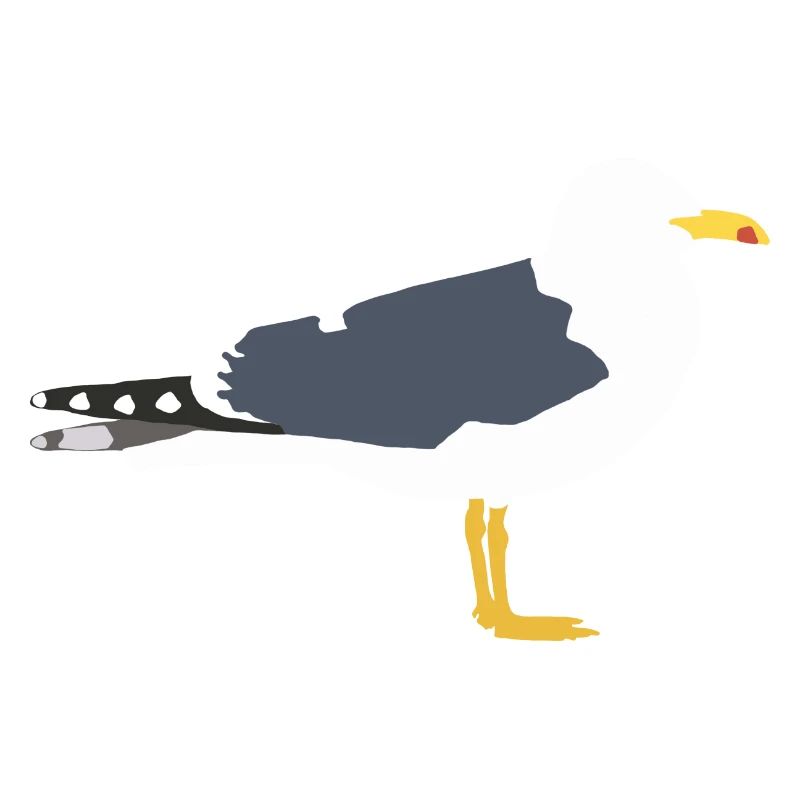Heringsmöwe