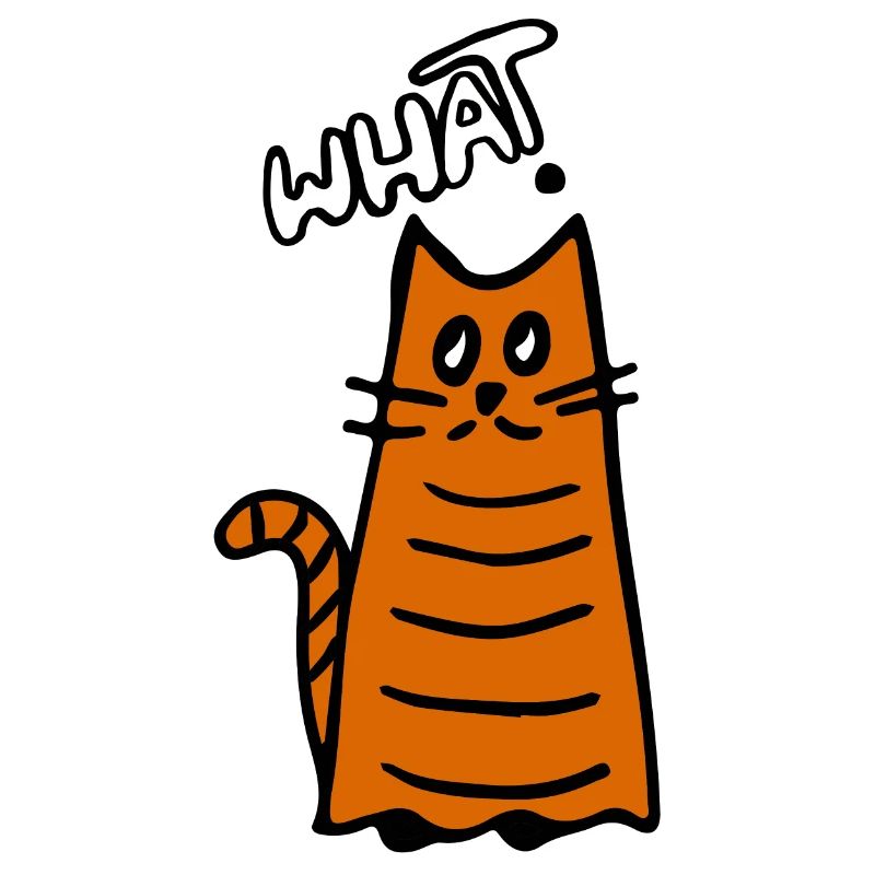 Quoi? Question sur le chat