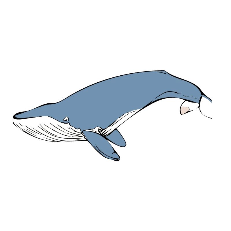Wal