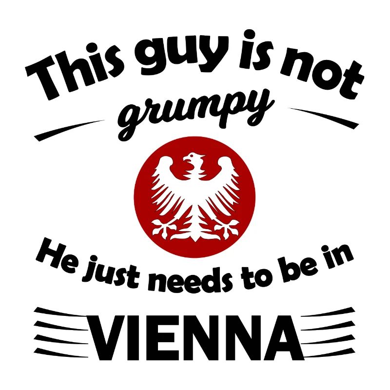 Beautiful Vienna in Austria