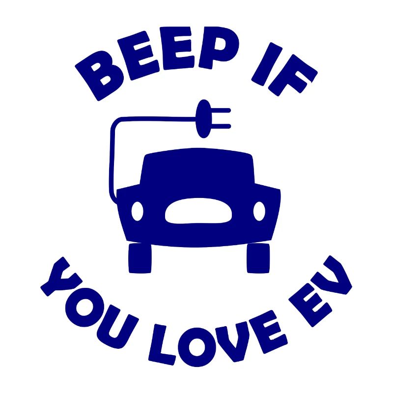 Die E Auto Fans