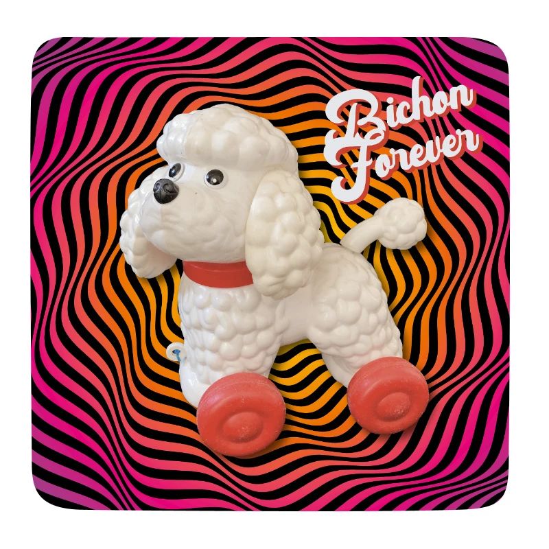 Bichon forever psychedelic abgerundetes Quadrat