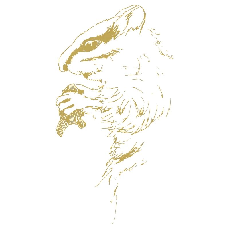 Illustrierte Designs mit Hörnchen