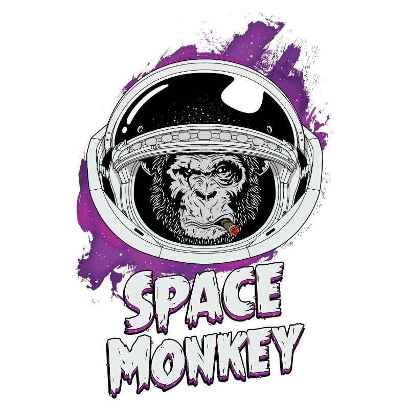 Vintage space monkey