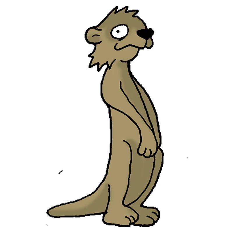 Erdmännchen