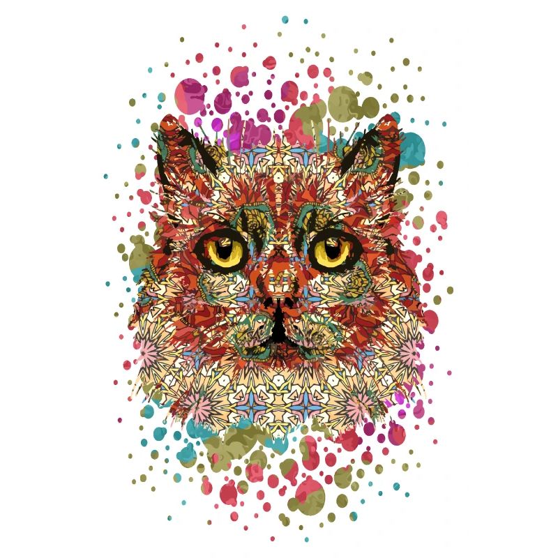 Chat