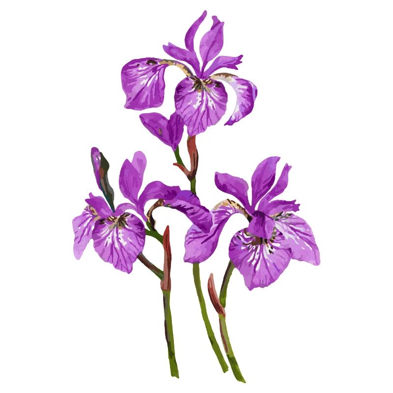 Blumen