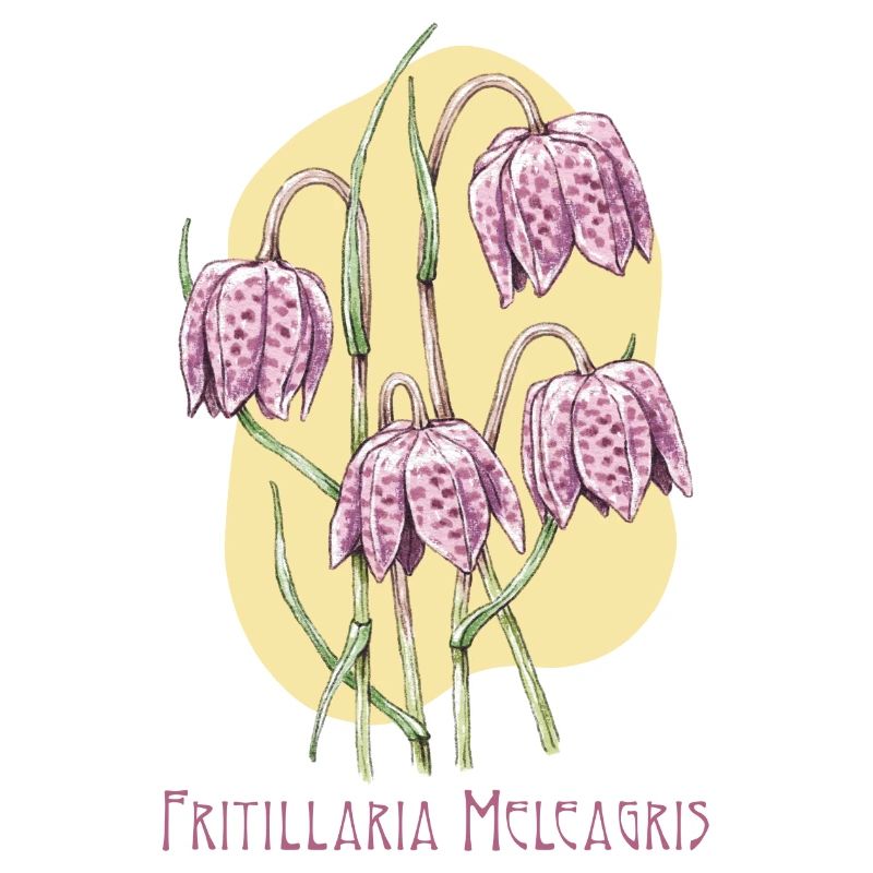 Cube checkerboard botanical drawing