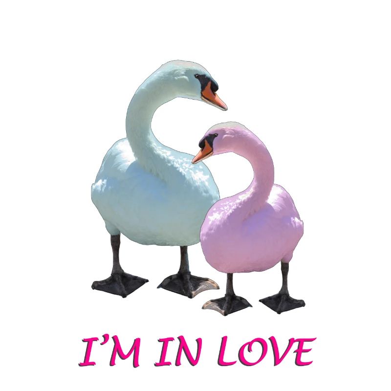 Schwanen-Liebe