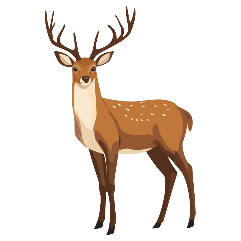 Hirsch