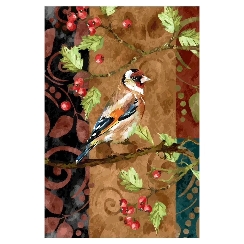 Oiseau coloré