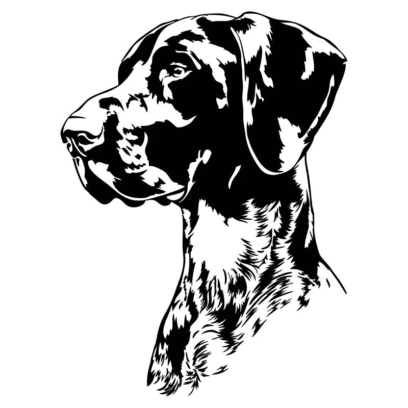 DEUTSCH KURZHAAR Jagdhund Wilsigns Jagdhunde