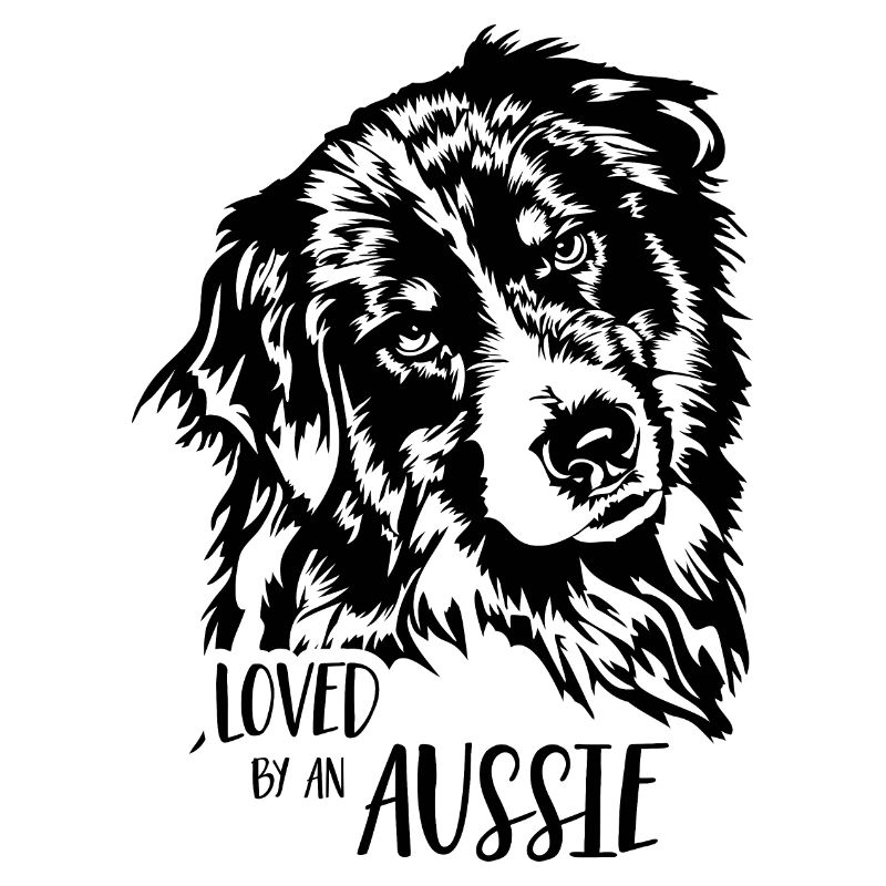 AUSTRALIAN SHEPHERD loved by an Aussie Wilsigns