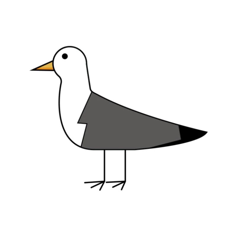 Möwe