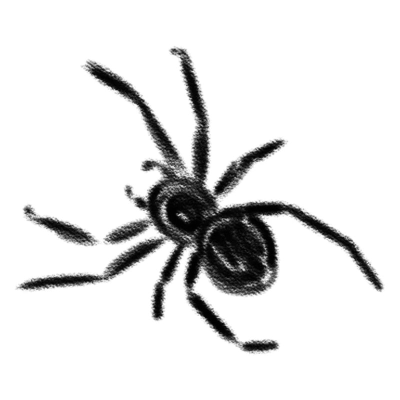 Spinne