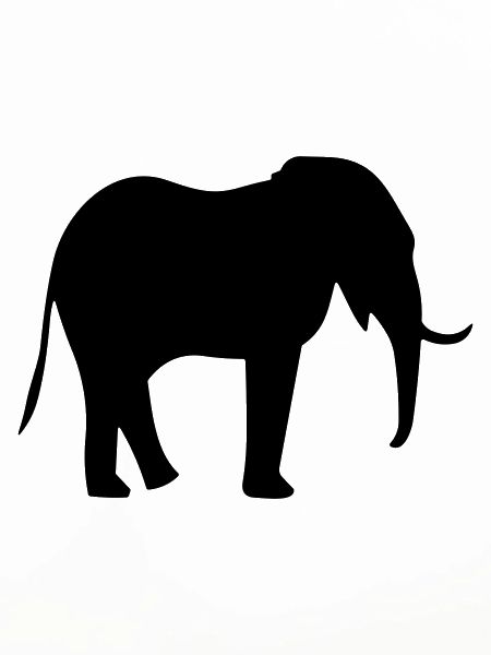 Elefant