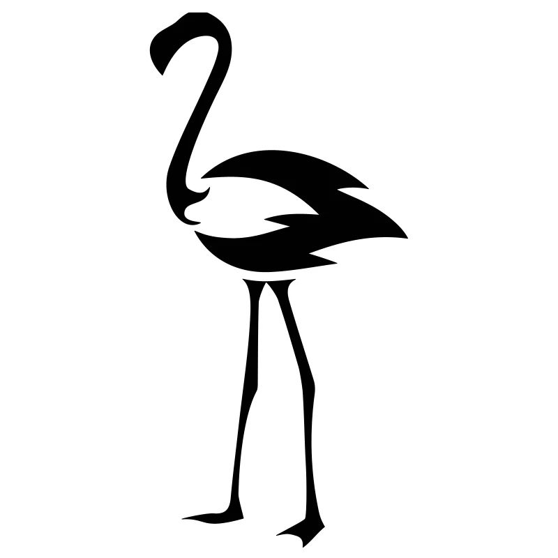 Flameingo Vogel
