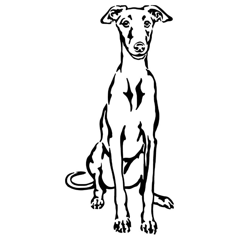 Galgo