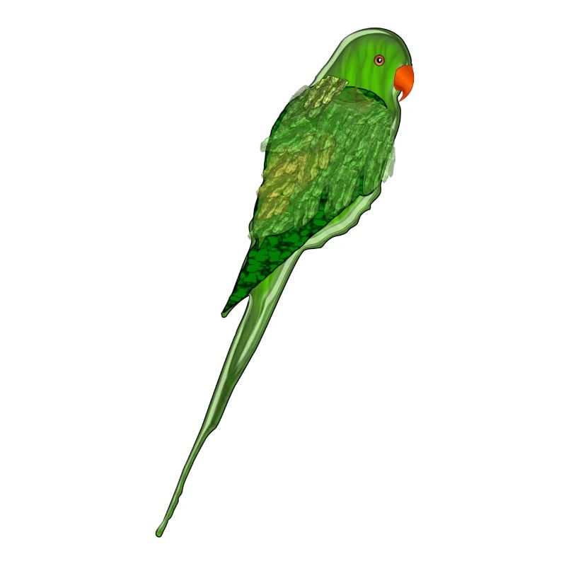 parrot35