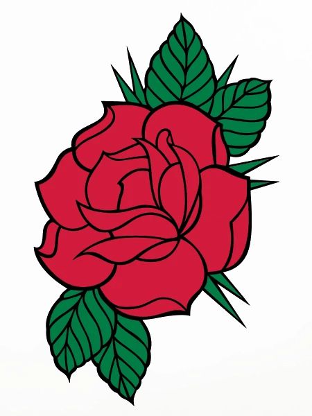 Rose - Dreifarbig