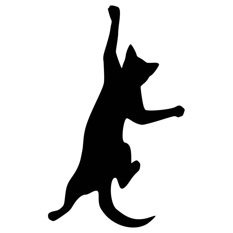 katze kletterkatze