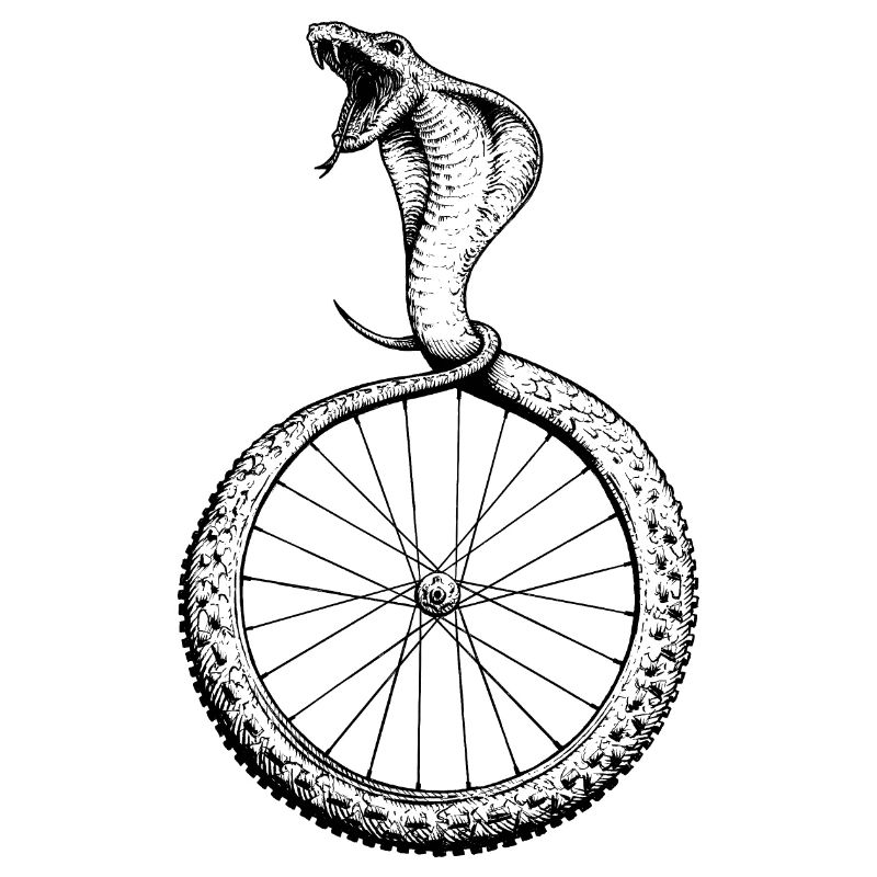 Snakebite