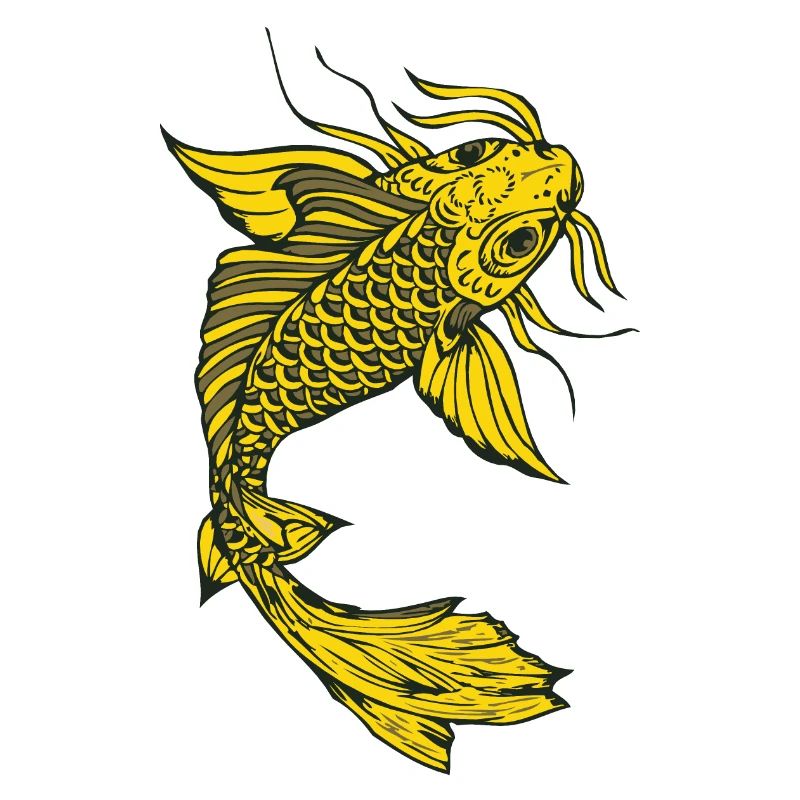 Japanese koi carp fish drawing 1 3 A