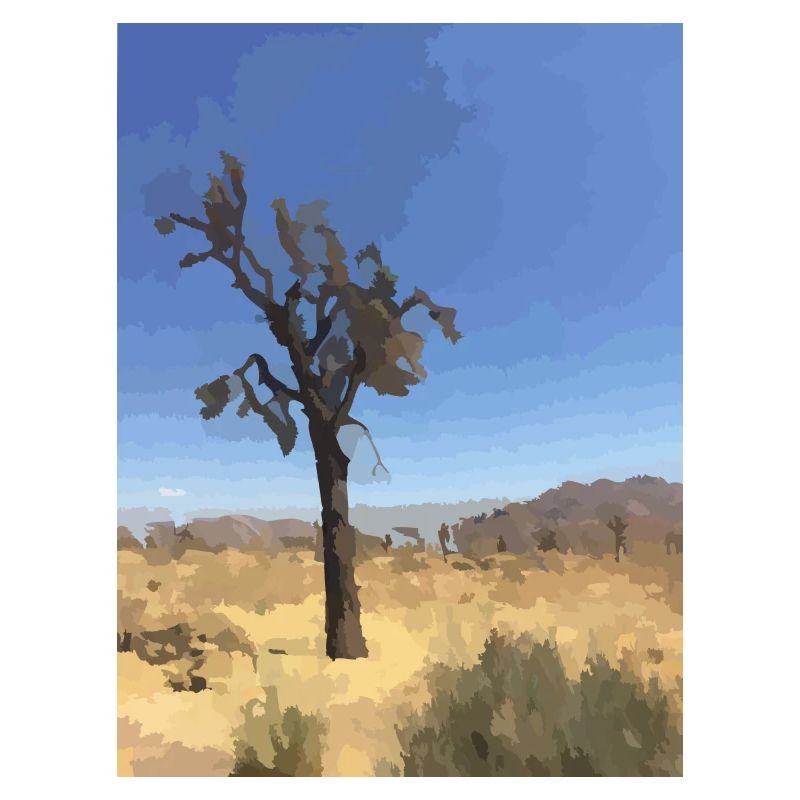 Joshua Tree