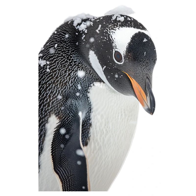 Pinguin
