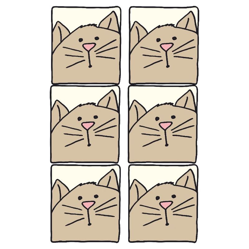 katzenbilder