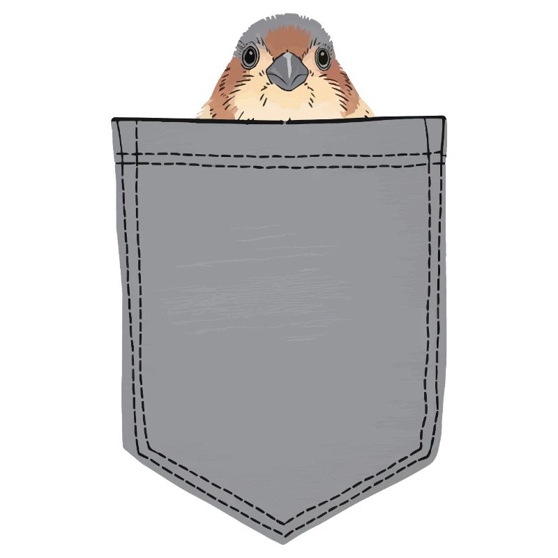 Finch Bird