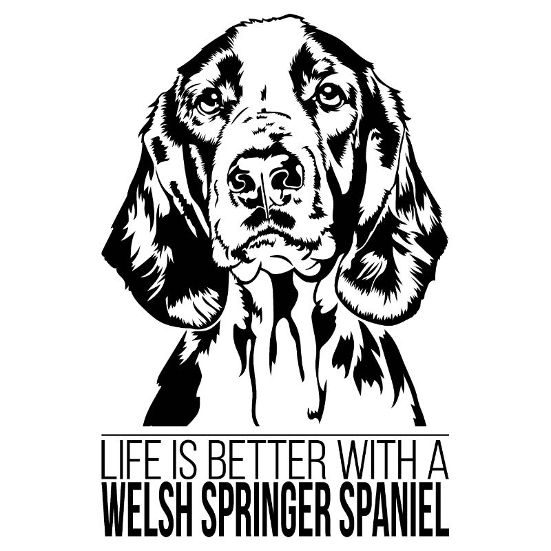 Welsh Springer Spaniel life better Hund Wilsigns