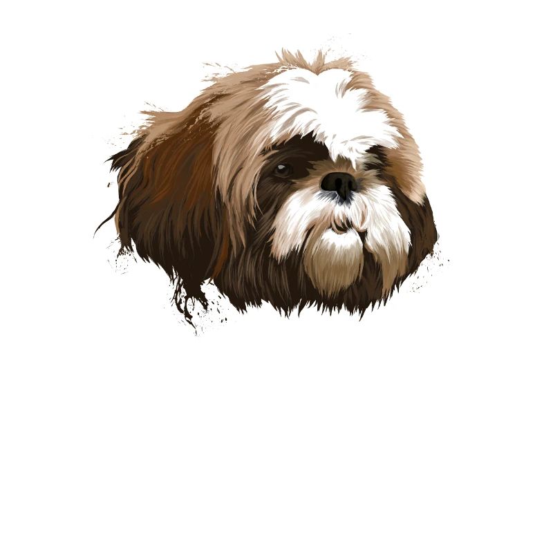Shih Tzu Hund
