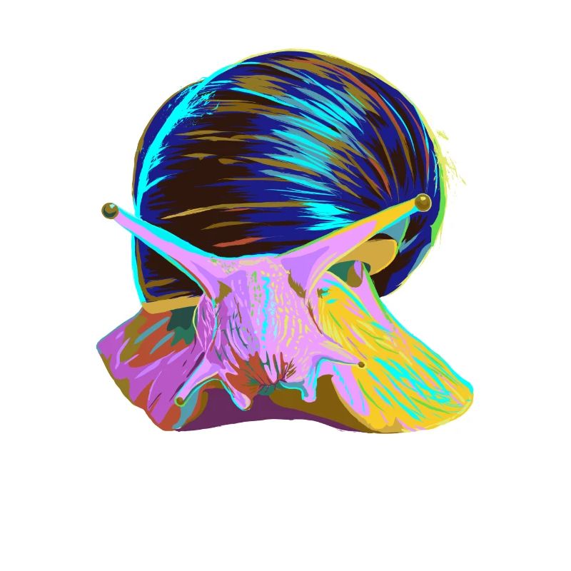 Splash Schnecke
