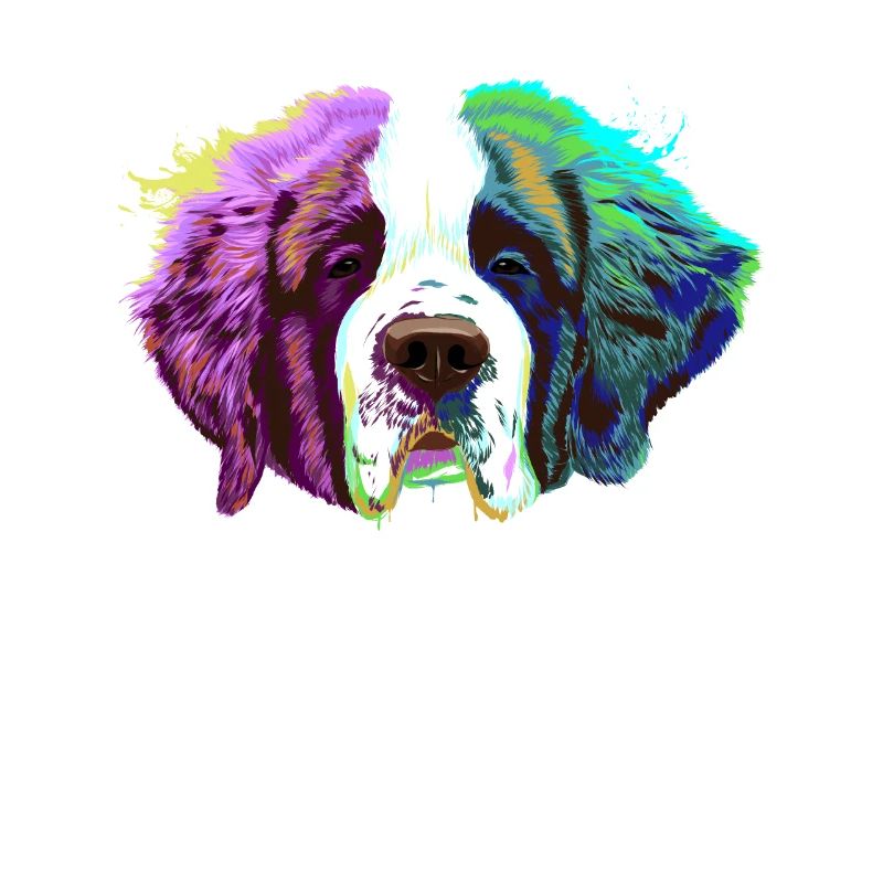 Splash Bernhardiner Hund