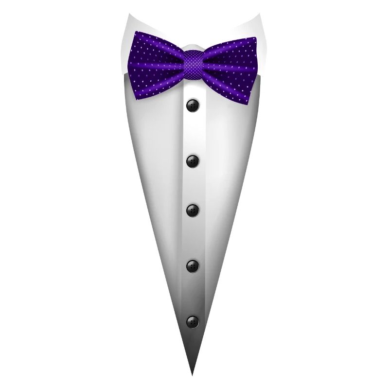 Conception de smoking avec nœud papillon pour les mariages et