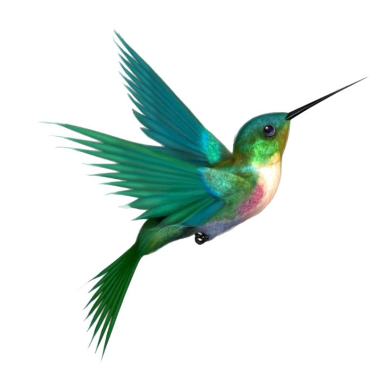 vogel