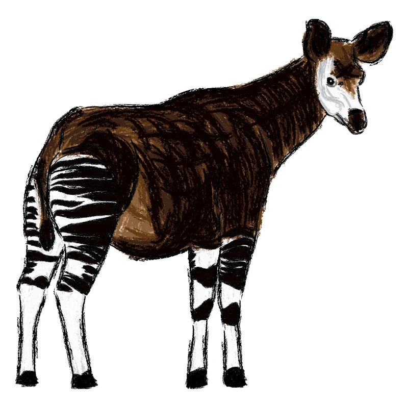 Okapi I